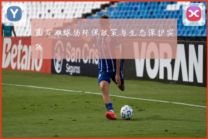 圆石滩球场环保政策与生态保护实践