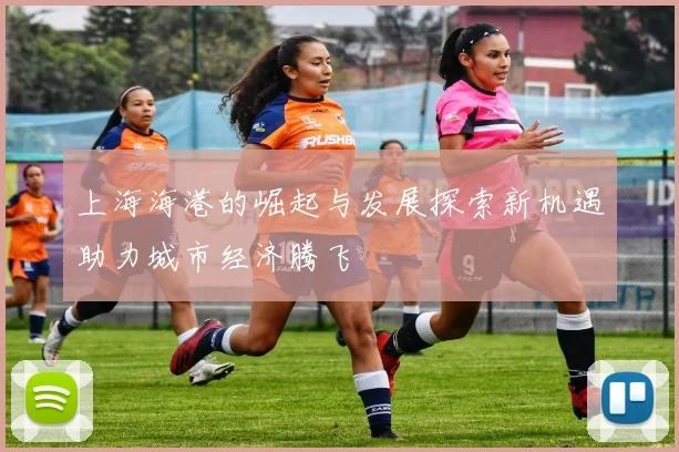 上海海港的崛起与发展探索新机遇助力城市经济腾飞