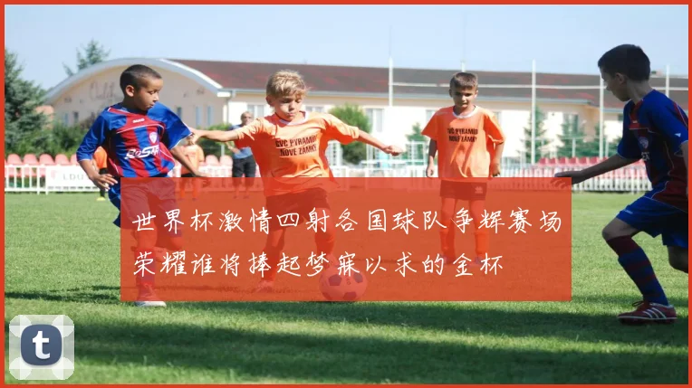 世界杯激情四射各国球队争辉赛场荣耀谁将捧起梦寐以求的金杯